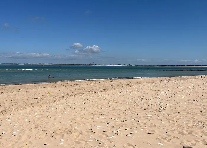 Appartement raffiné près de la mer et des commerces